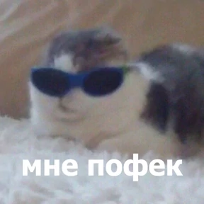 Стикер 11 из набора lolanimals4