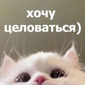 Стикер 12 из набора lolanimals4