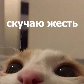 Стикер 15 из набора lolanimals4