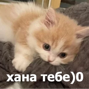 Стикер 16 из набора lolanimals4