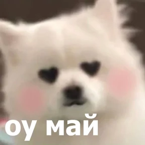 Стикер 18 из набора lolanimals4