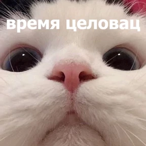 Стикер 20 из набора lolanimals4