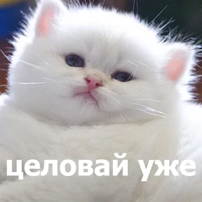 Стикер 21 из набора lolanimals4