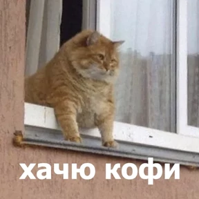 Стикер 23 из набора lolanimals4