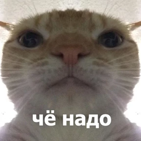 Стикер 24 из набора lolanimals4