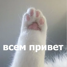 Стикер 26 из набора lolanimals4