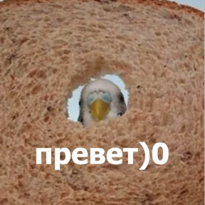 Стикер 28 из набора lolanimals4