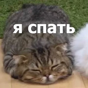 Стикер 29 из набора lolanimals4