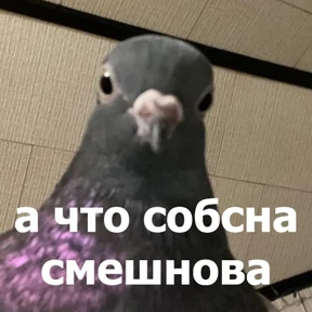 Стикер 32 из набора lolanimals4
