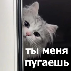 Стикер 33 из набора lolanimals4