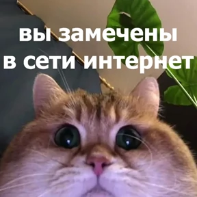Стикер 34 из набора lolanimals4