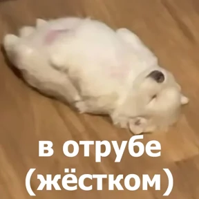 Стикер 36 из набора lolanimals4