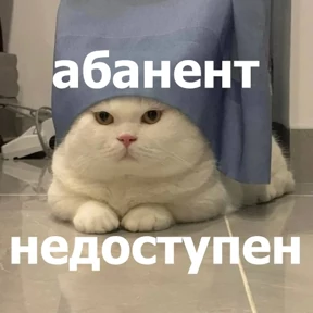 Стикер 37 из набора lolanimals4