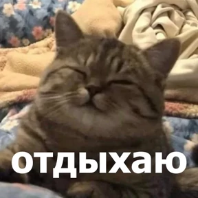 Стикер 39 из набора lolanimals4