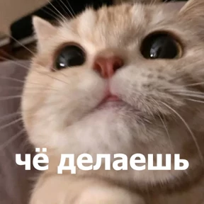 Стикер 40 из набора lolanimals4
