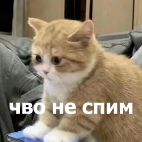 Стикер 41 из набора lolanimals4