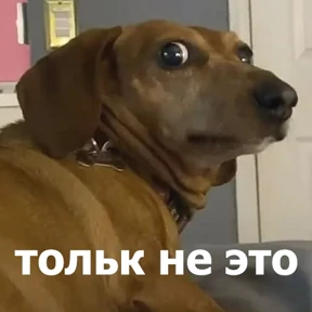 Стикер 42 из набора lolanimals4