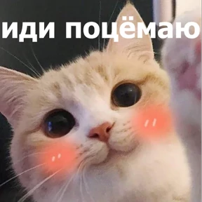 Стикер 43 из набора lolanimals4