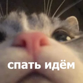 Стикер 44 из набора lolanimals4