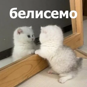 Стикер 45 из набора lolanimals4