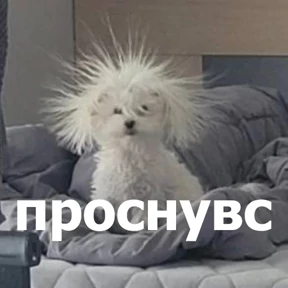 Стикер 47 из набора lolanimals4