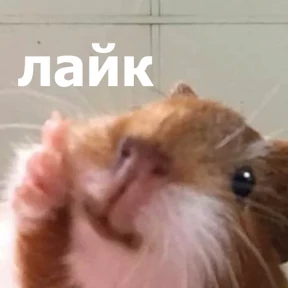 Стикер 48 из набора lolanimals4