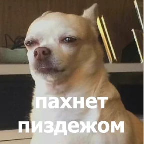 Стикер 49 из набора lolanimals4