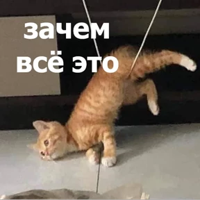 Стикер 50 из набора lolanimals4