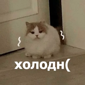 Стикер 51 из набора lolanimals4