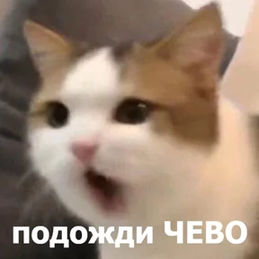 Стикер 52 из набора lolanimals4