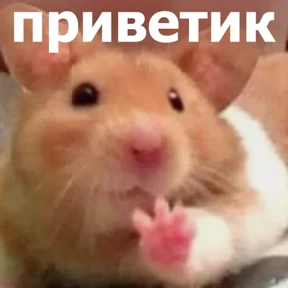 Стикер 53 из набора lolanimals4