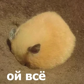 Стикер 55 из набора lolanimals4