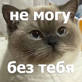 Стикер 57 из набора lolanimals4
