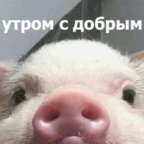 Стикер 58 из набора lolanimals4
