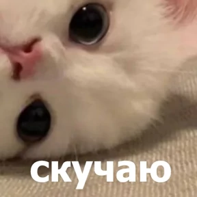 Стикер 61 из набора lolanimals4