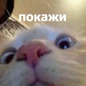 Стикер 62 из набора lolanimals4
