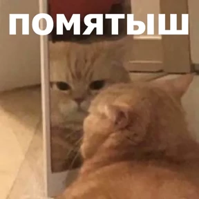 Стикер 63 из набора lolanimals4