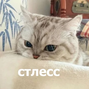 Стикер 66 из набора lolanimals4