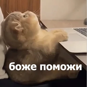 Стикер 67 из набора lolanimals4