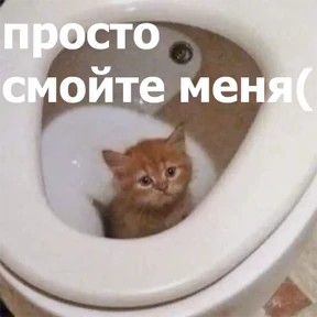 Стикер 68 из набора lolanimals4