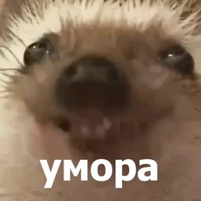 Стикер 69 из набора lolanimals4