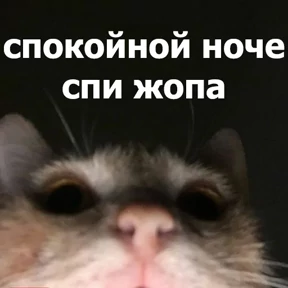 Стикер 70 из набора lolanimals4