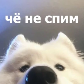 Стикер 71 из набора lolanimals4