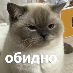 Стикер 75 из набора lolanimals4