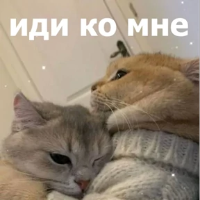Стикер 76 из набора lolanimals4