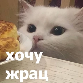 Стикер 77 из набора lolanimals4