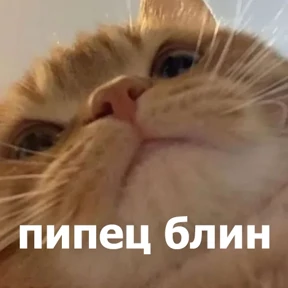 Стикер 78 из набора lolanimals4