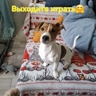 Обложка набора Лови удачу