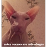 Обложка набора любими