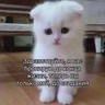 Обложка набора Люлик 4
